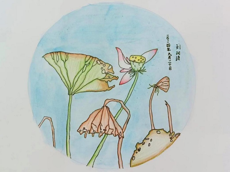 美彩国际·(中国区) - 官网入口